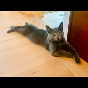 Meet your Posher, Maia